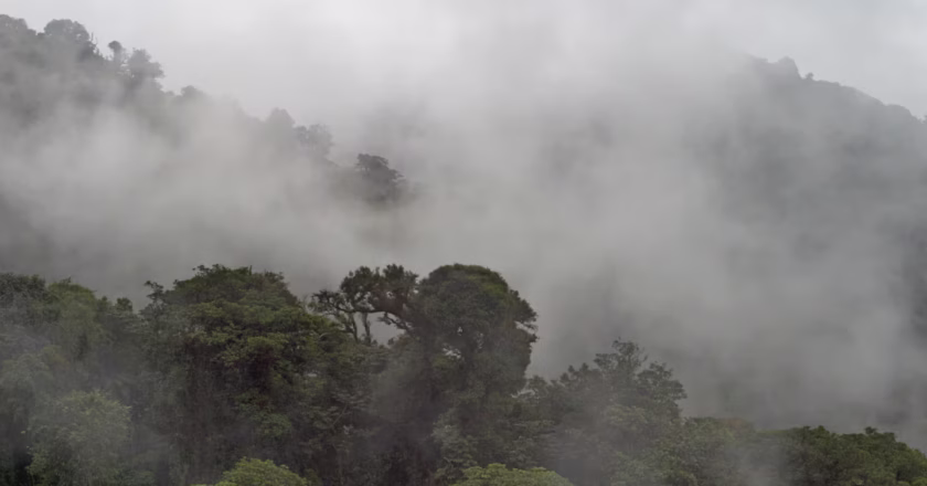 PNUMA: cada dólar invertido en aire limpio y acción climática puede generar US$15 en beneficios