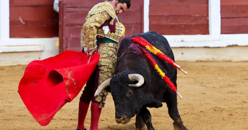 México aprueba nueva ley de bienestar animal