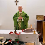 León XIV continuará su recuperación en el Vaticano y retomará la Audiencia General este miércoles